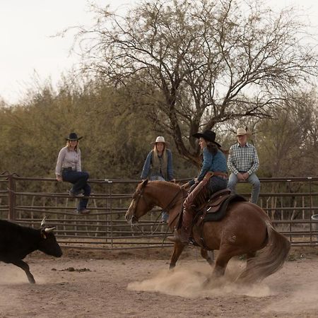 Kay El Bar Guest Ranch Hotel วิคเคนเบิร์ก ภายนอก รูปภาพ